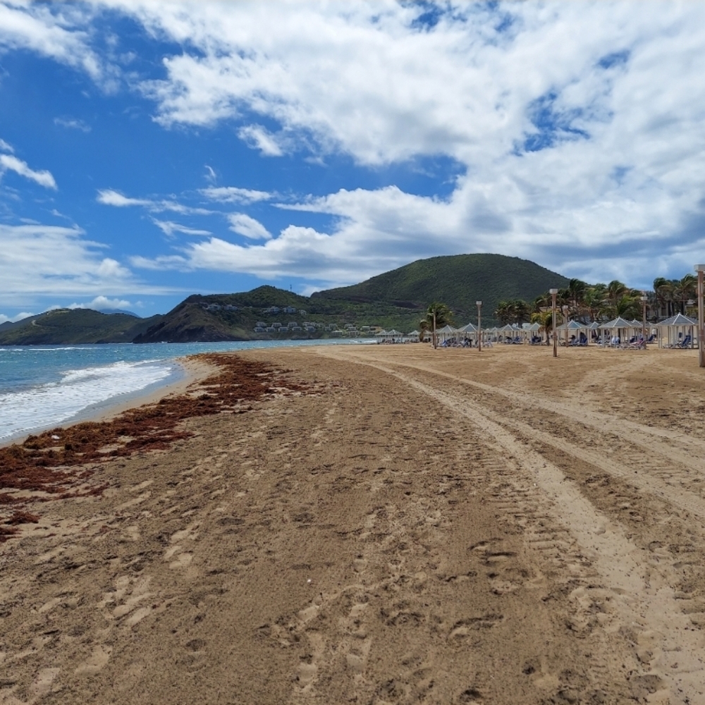 Meet your Posher, Heidi